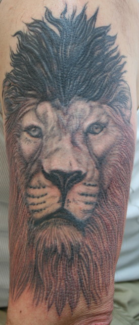 Schliessen von lion-coverup.jpa.JPG